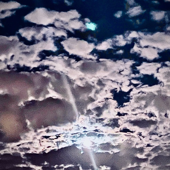 Meet your Posher, Kathryn - Picture 9 of 14